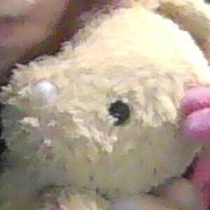 Stuffed animals